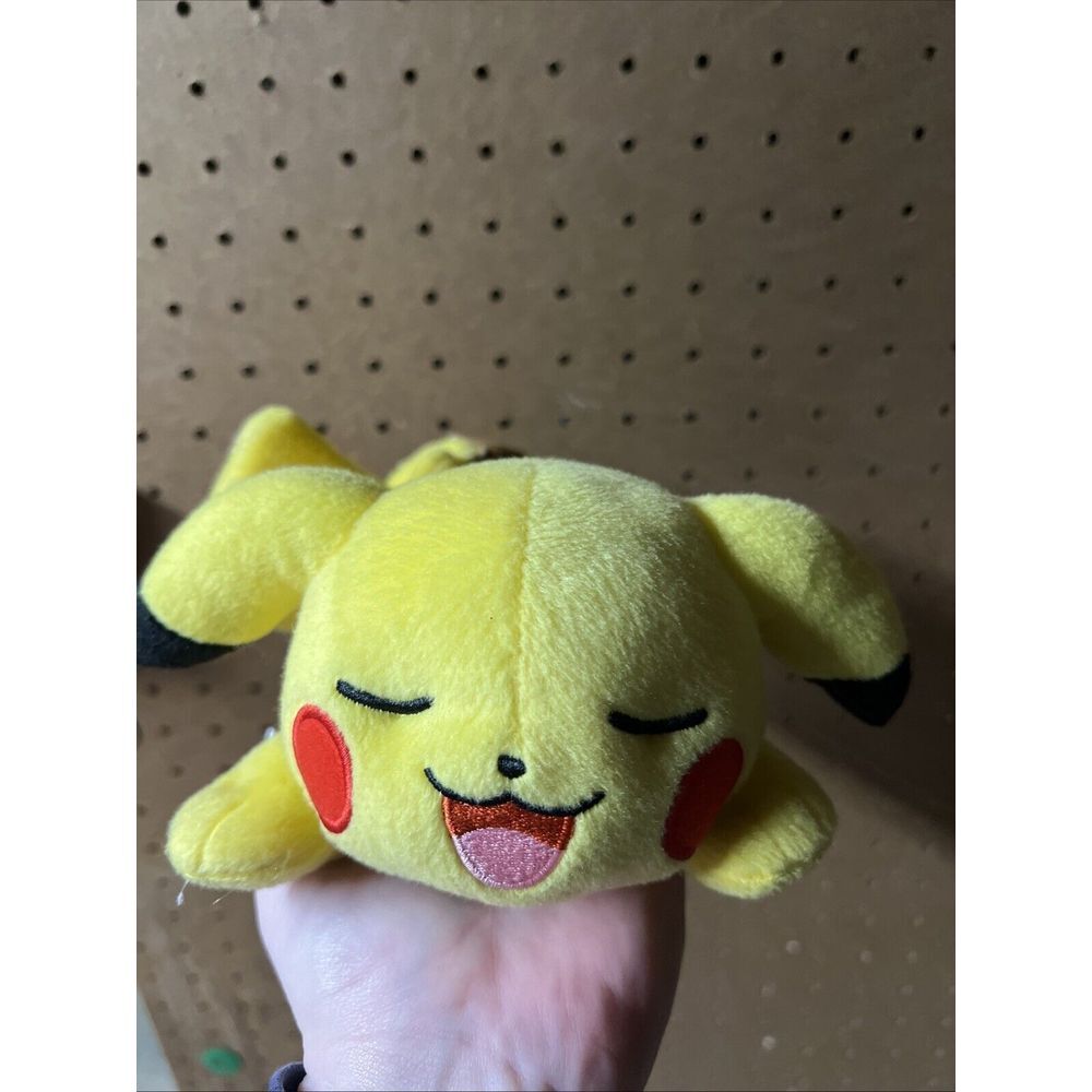 Pokémon Sleeping Pikachu